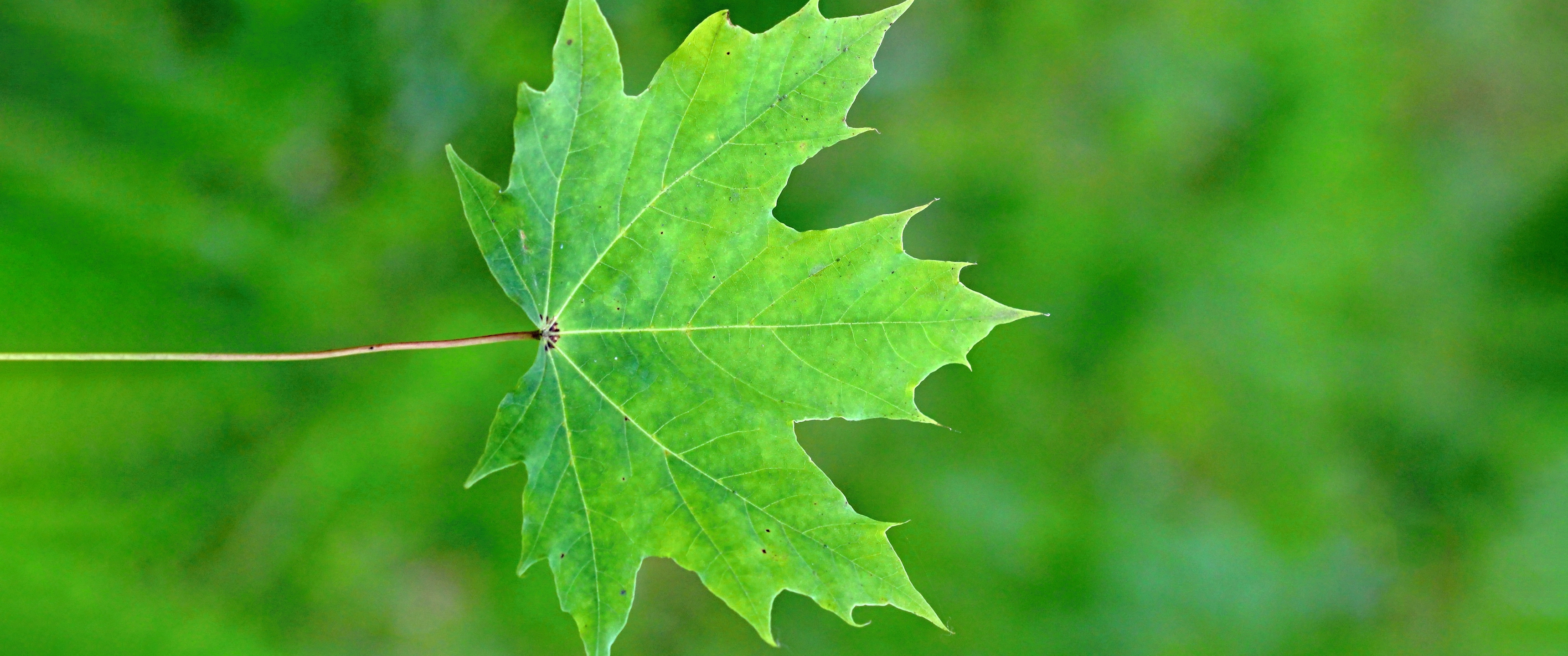 花开暖年_2014-05-26_守望幸福 (2).webp